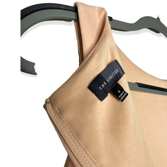 The Limited Blush w/ Black Lace Sleeveless Mid length Dress Women's Size 4 - Picture 6 of 9